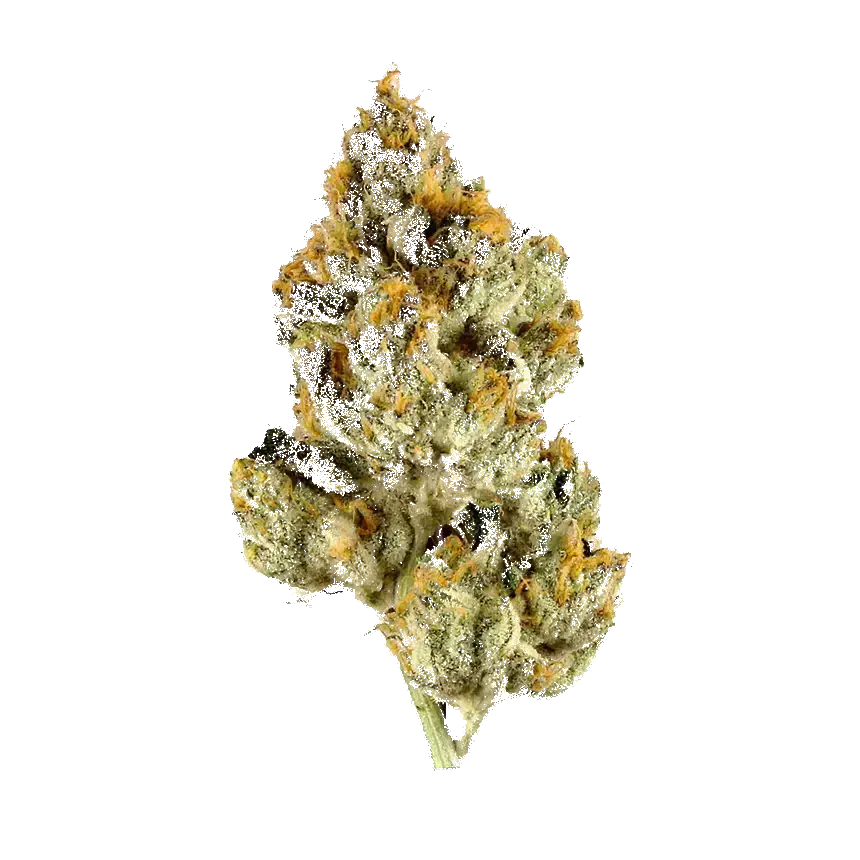 Holy Ghost