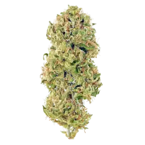 Huckleberry