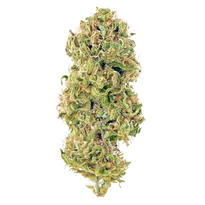 Huckleberry