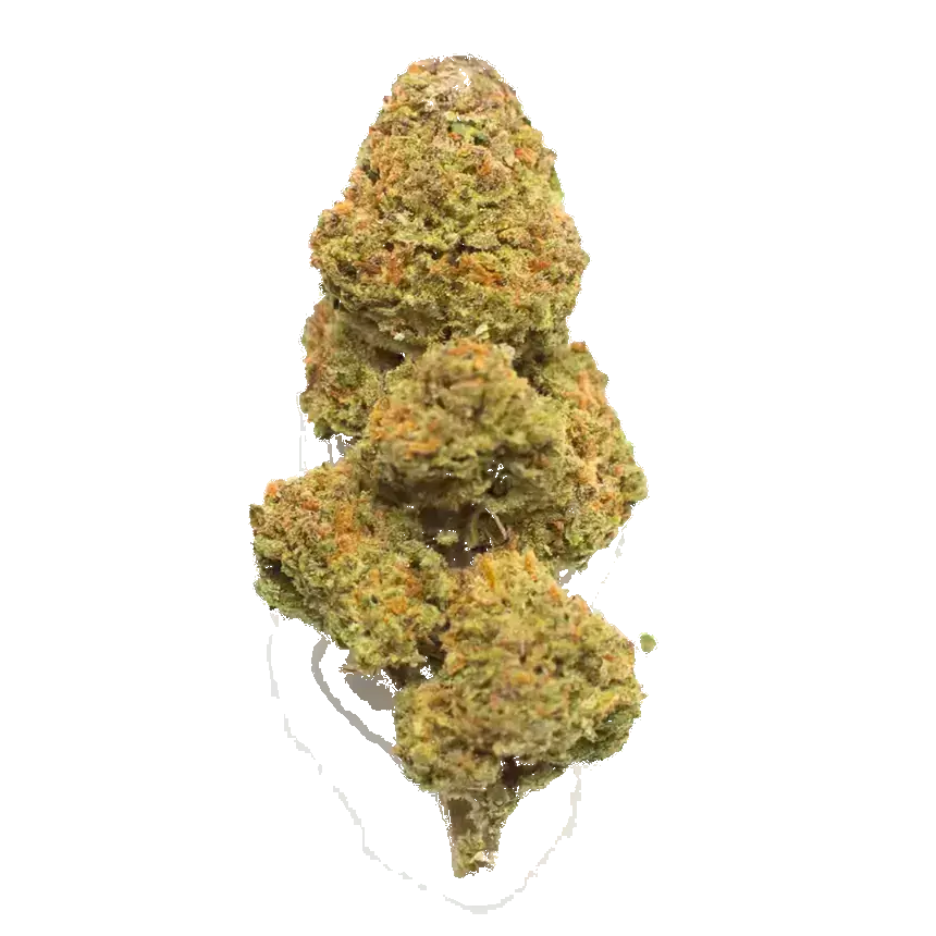 Jack The Ripper
