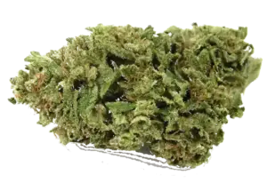 La Bomba