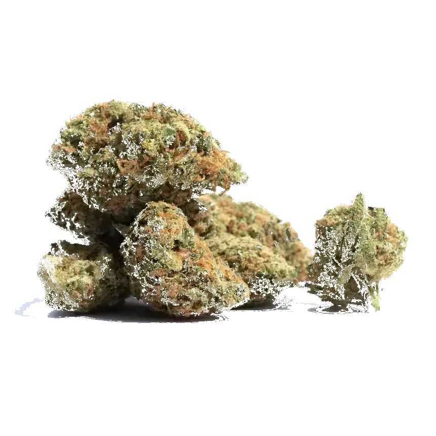 Leia Og