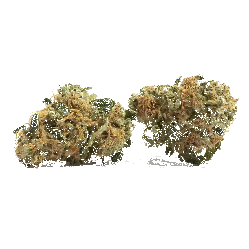Liberty Haze