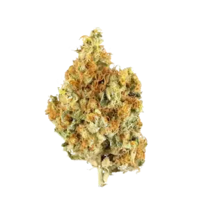 Malawi Gold
