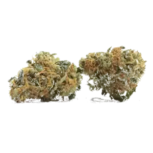 Maui Wowie