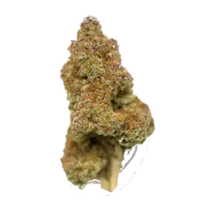 Neptune Kush