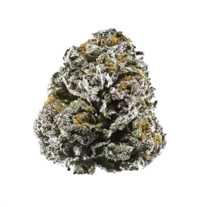Nevada Privada