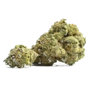 Orange Cookies