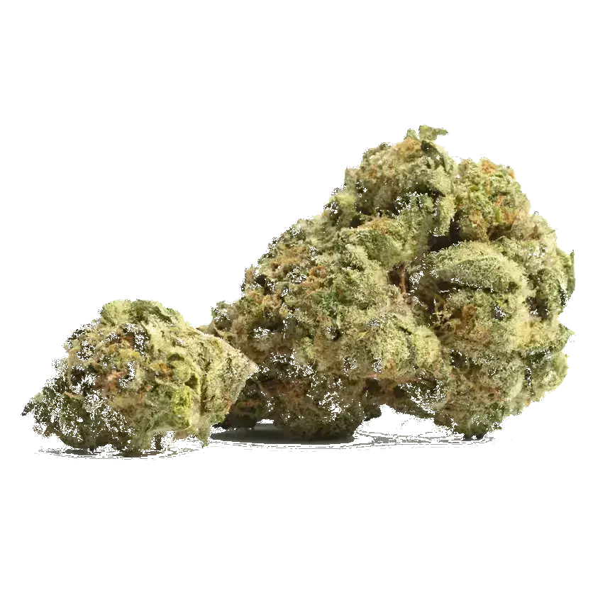 Orange Cookies