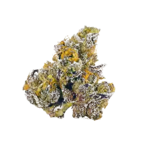 Orange Sherbert