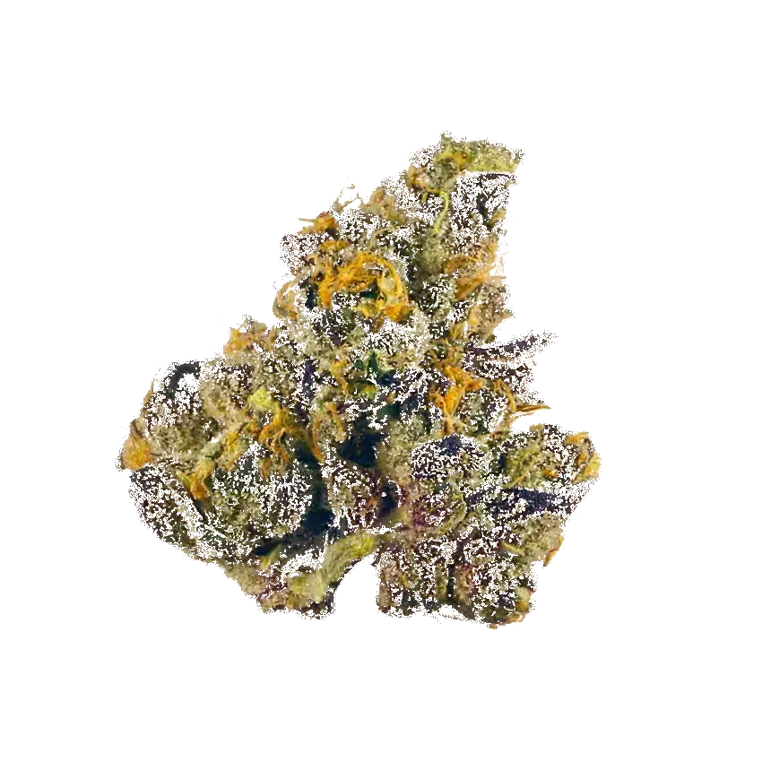 Orange Sherbert