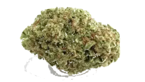Papaya Punch