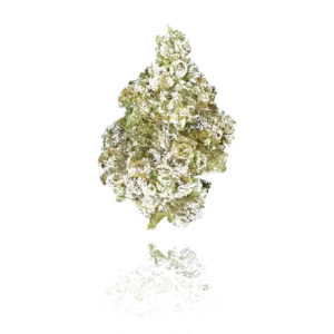 Paradiso