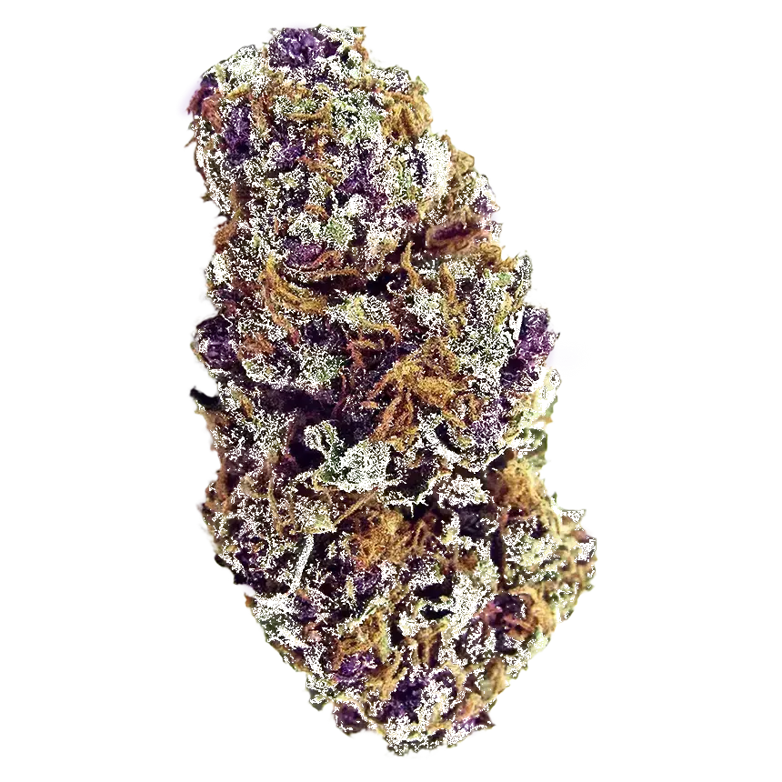 Purple Palm Tree Delight