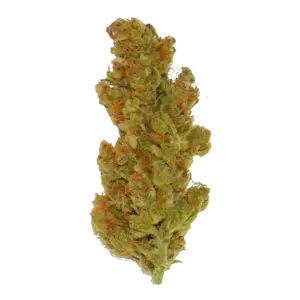 Purple Punch Og