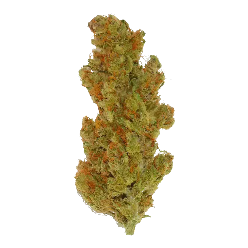 Purple Punch Og