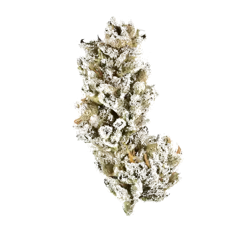 Purple Punch
