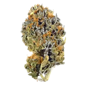 Royal Purple Kush