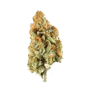 Rudeboi Og