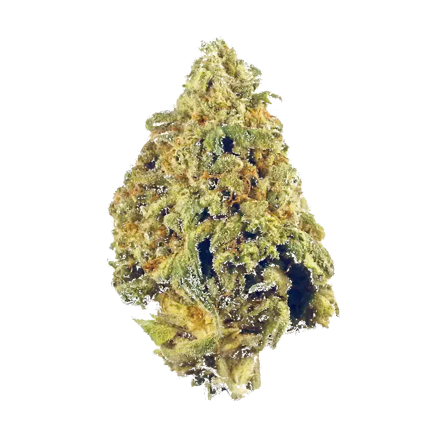 Serious Kush