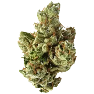 Sfv Og Kush