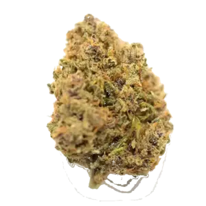 Shiatsu Kush