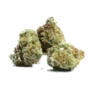 Skins Skunk