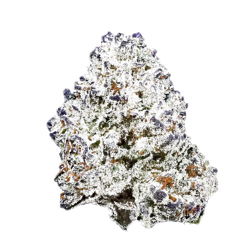 Slurricane
