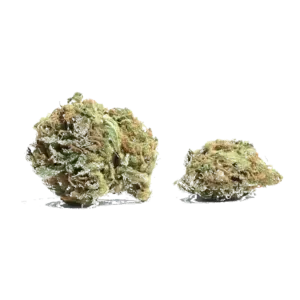 Snoop Dogg Og