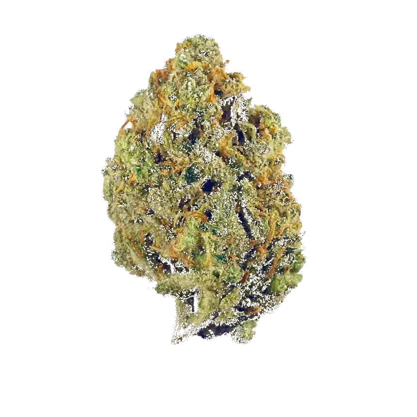 Sour Spyder