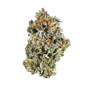 Sunset Sherbert