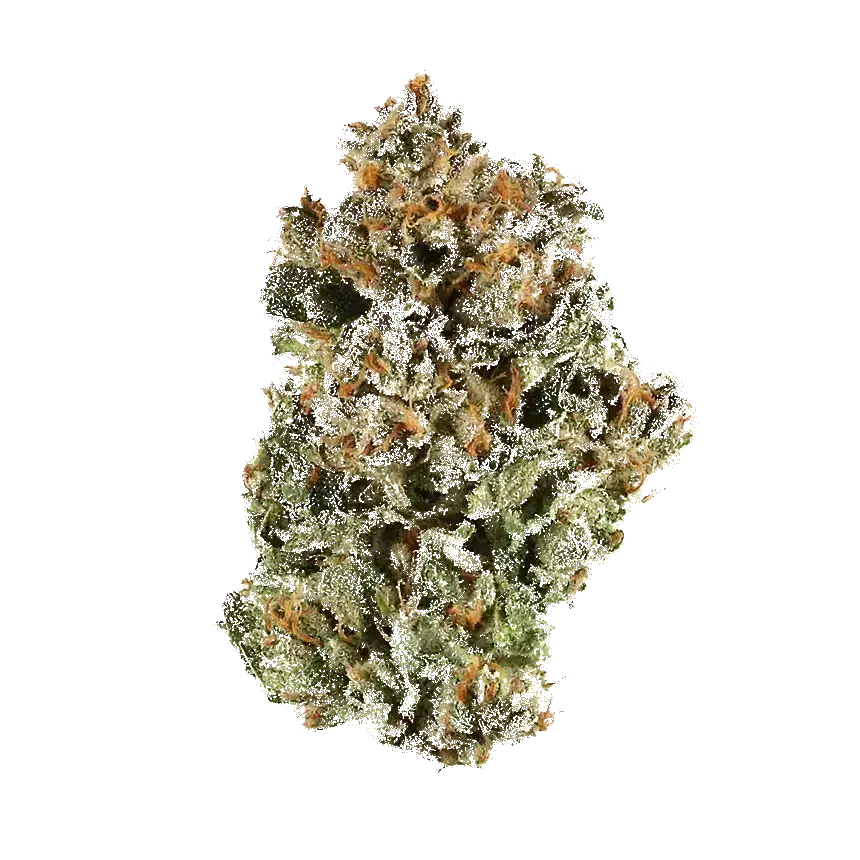 Sunset Sherbert