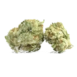 The White
