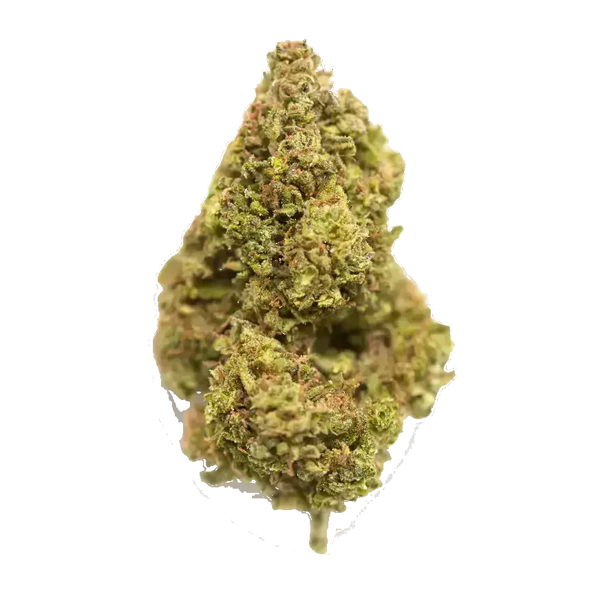 White Choco Haze