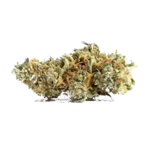 White Super Skunk