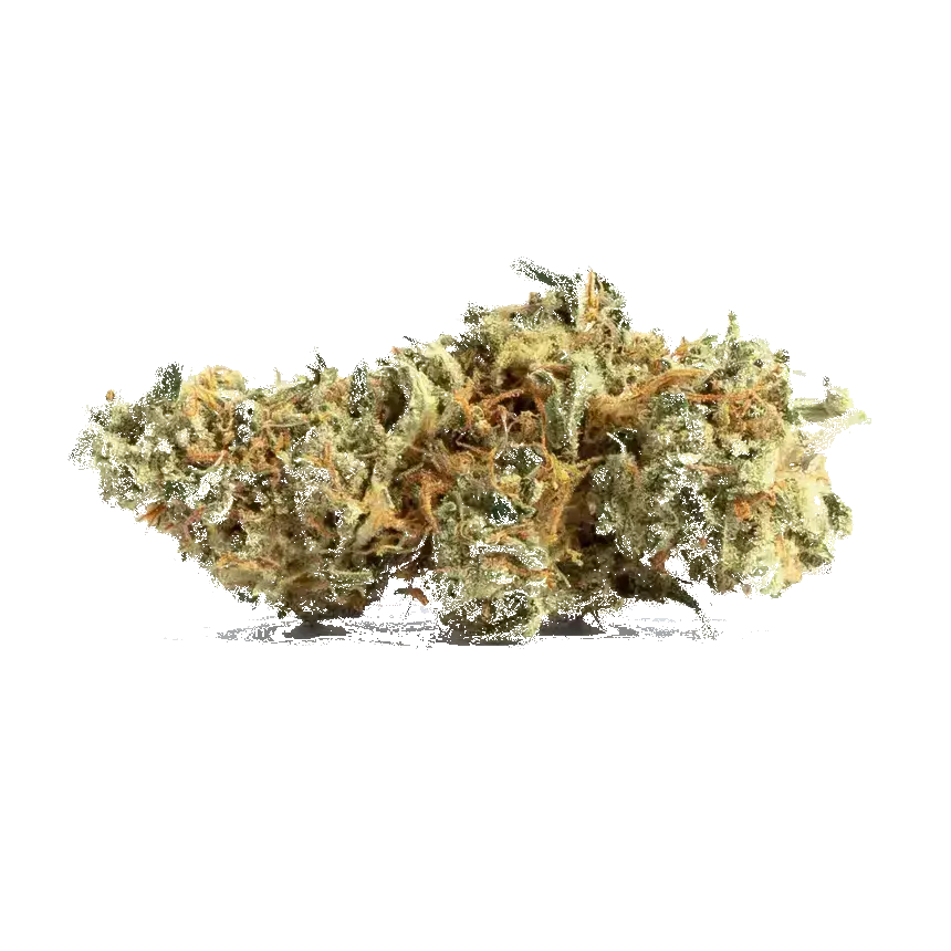 White Super Skunk