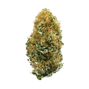 White Widow