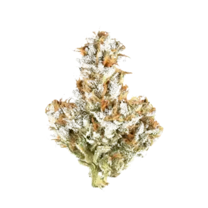 Whiteout