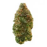 3 Bears Og
