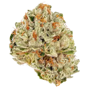 5G