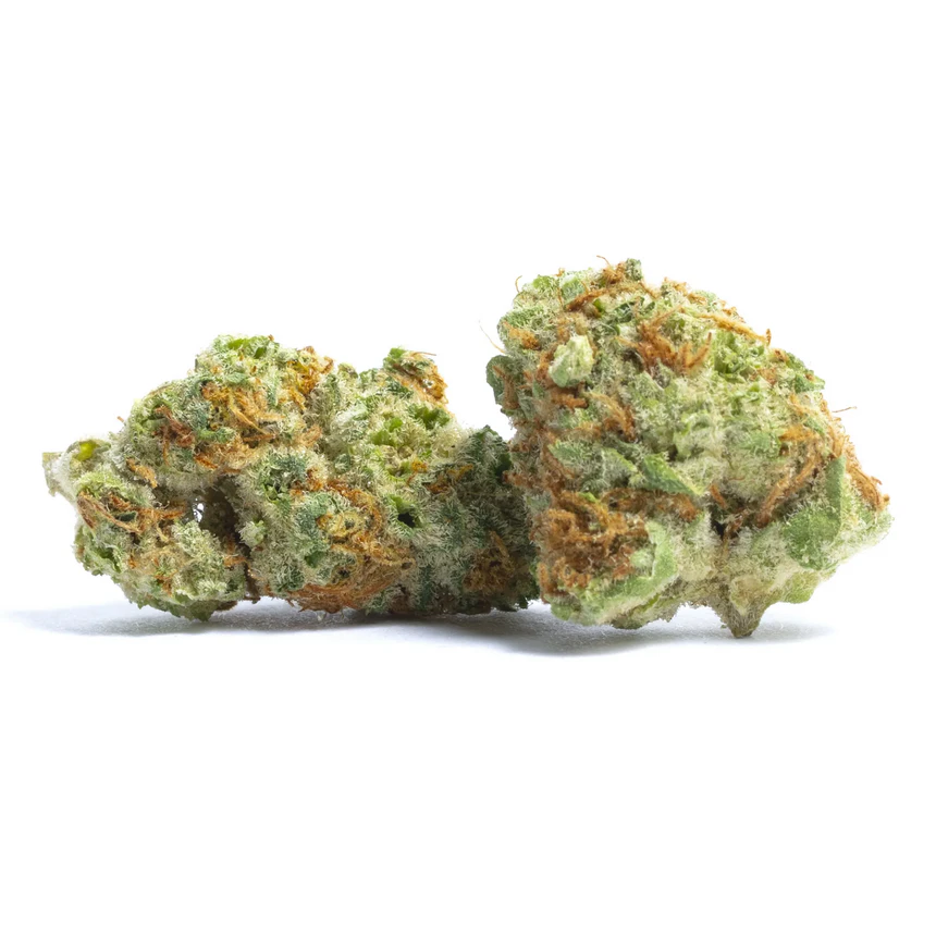 African Orange