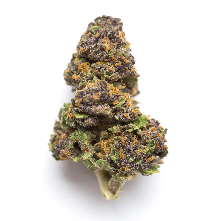 Agent Orange