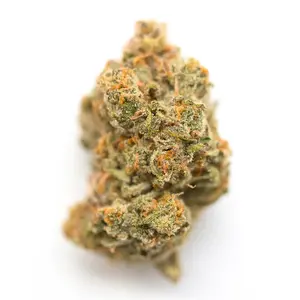 Ak-49