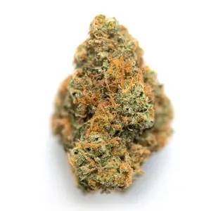 Alien Inferno