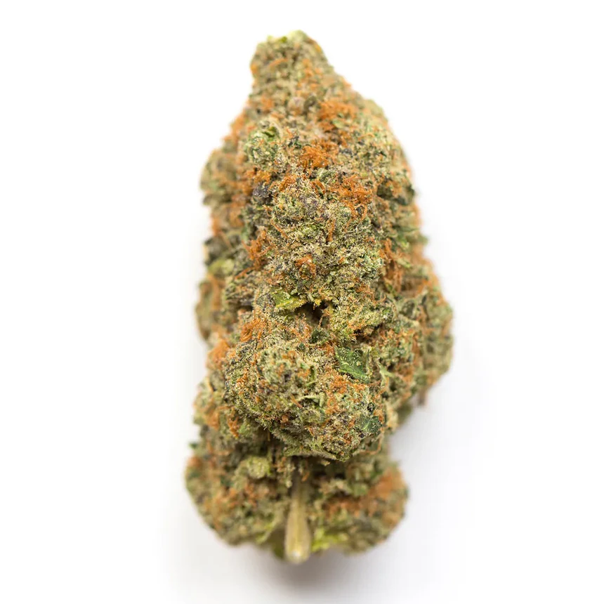 Biker Kush