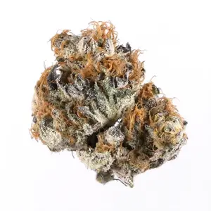 Fire Alien Master