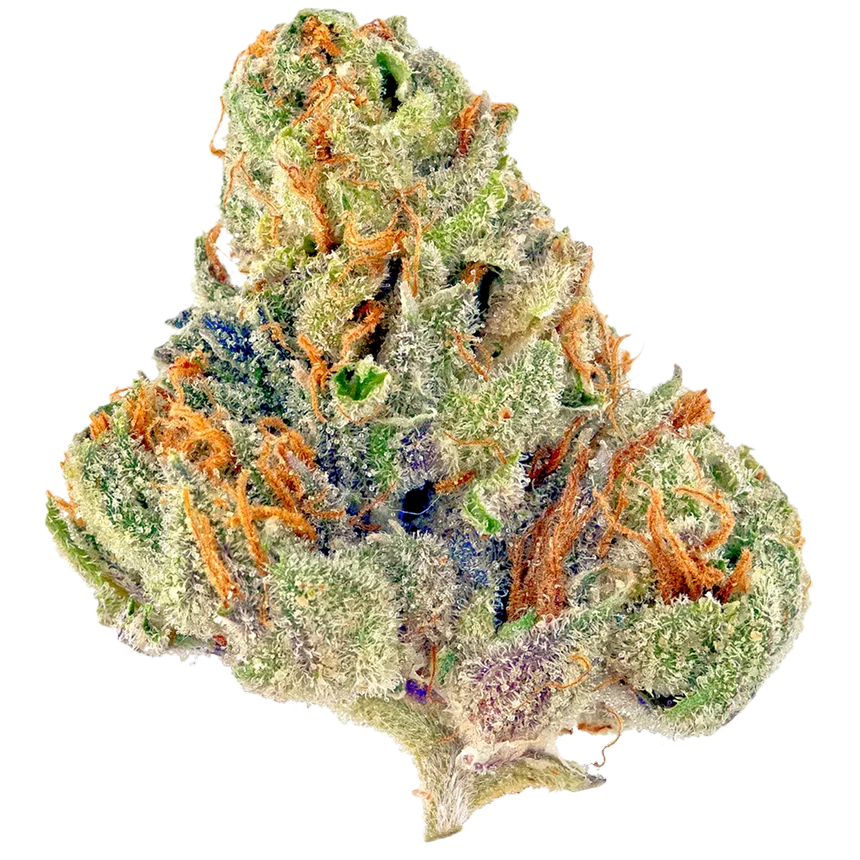 Gelato Kiss