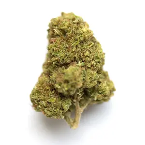 Gorilla Banana
