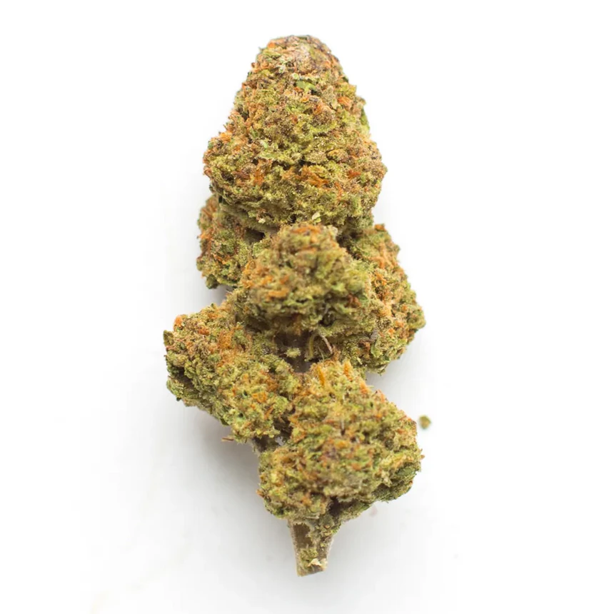Gorilla Biscuit