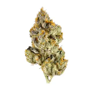 Holy Ghost